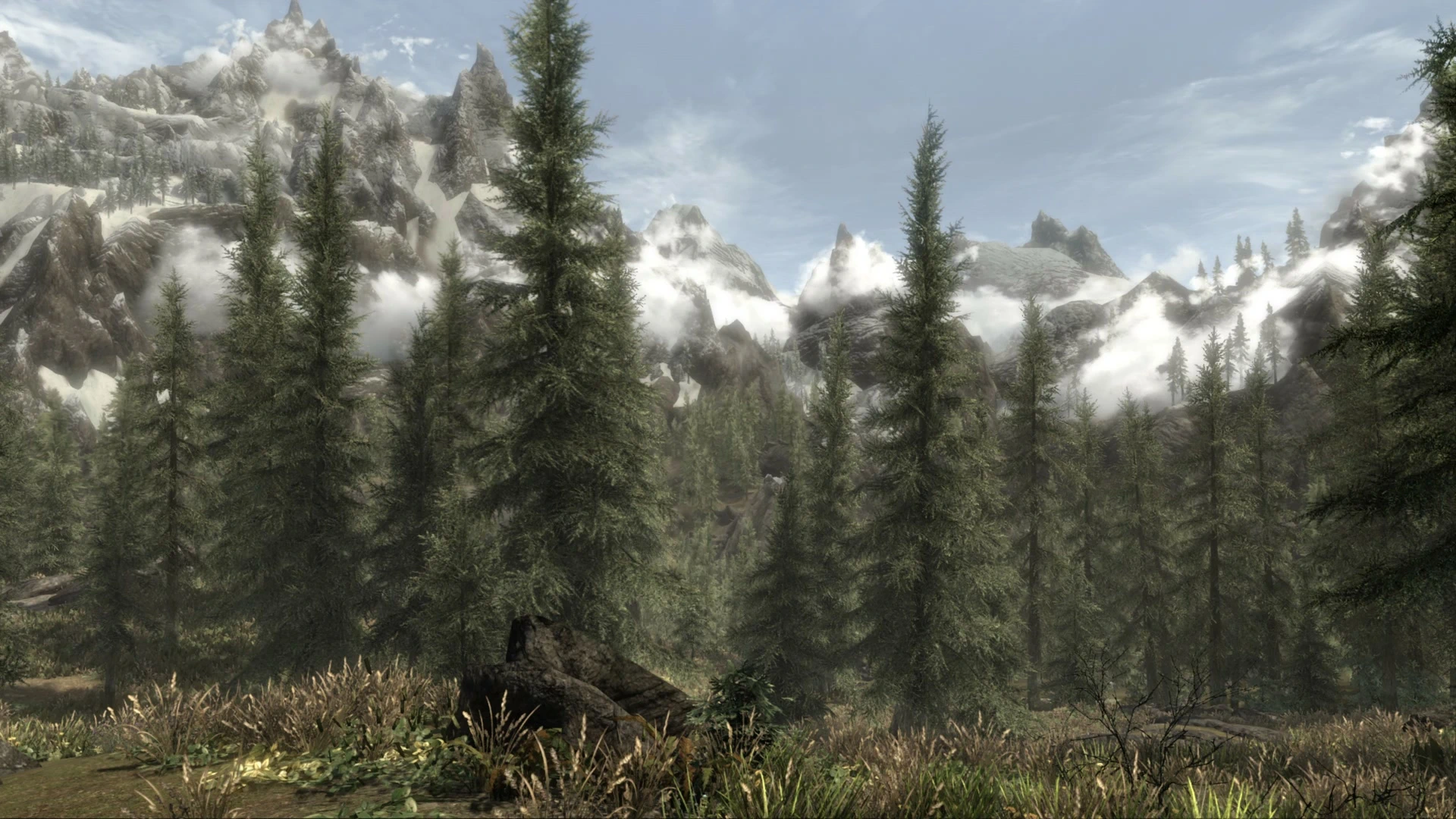 Pine trees fill a Skyrim hillside beneath snowy mountains and low clouds in a Windswept project screenshot.