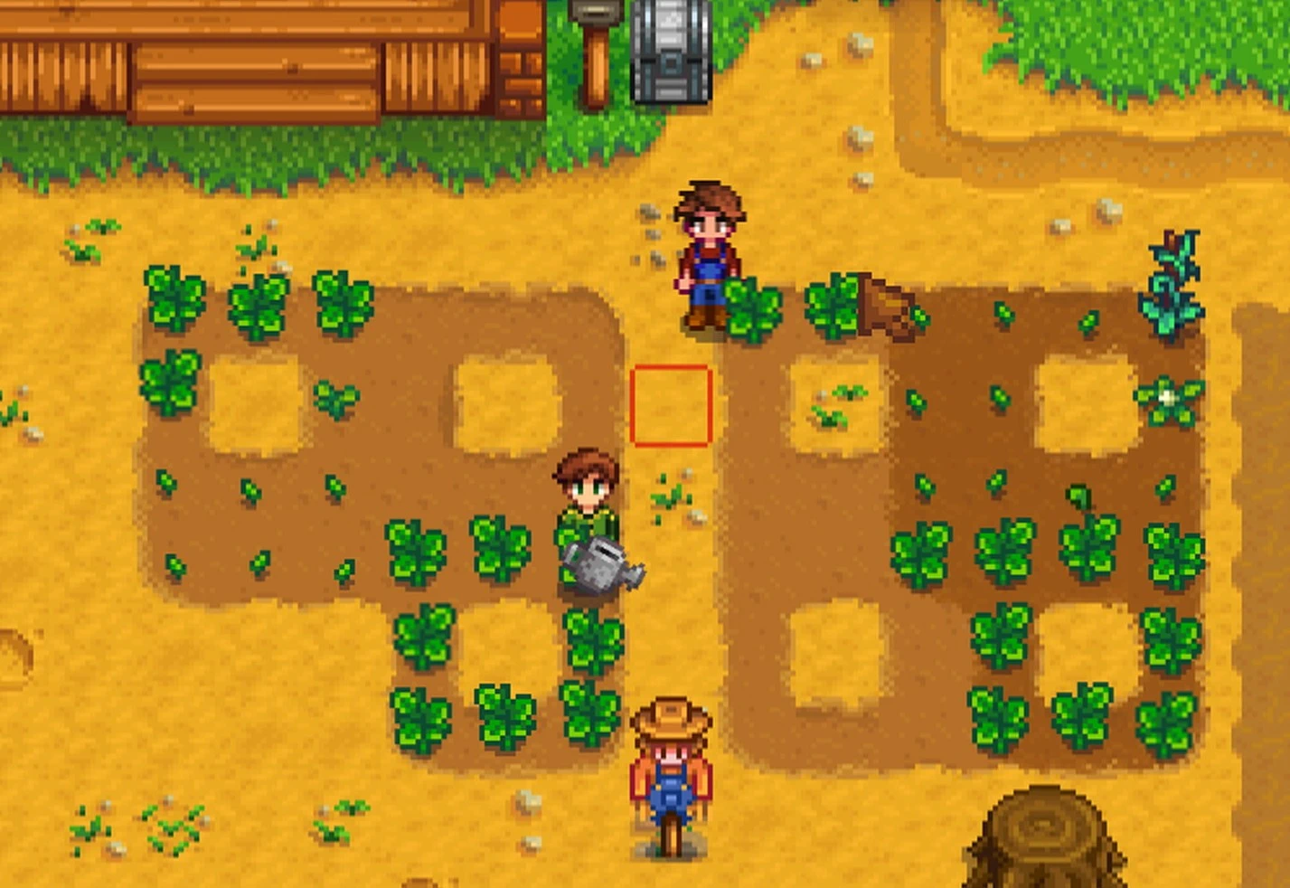 A hired neighbor waters crops between two farmers in Stardew Valley.