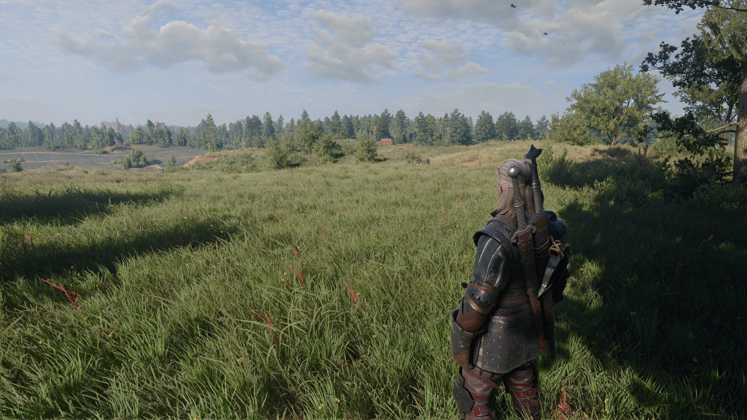 Geralt stands in a dense grassy field overlooking a lake and tree line in The Witcher 3.